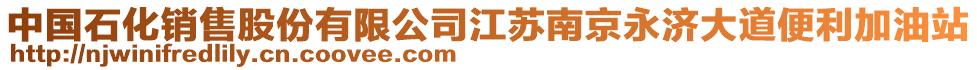 中國石化銷售股份有限公司江蘇南京永濟(jì)大道便利加油站