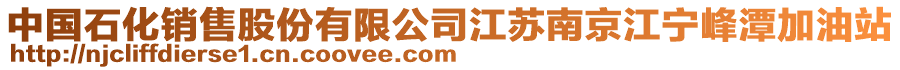 中國(guó)石化銷(xiāo)售股份有限公司江蘇南京江寧峰潭加油站