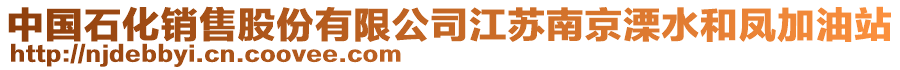 中國(guó)石化銷(xiāo)售股份有限公司江蘇南京溧水和鳳加油站