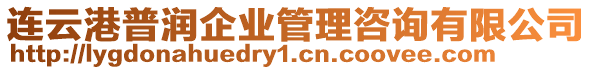 連云港普潤企業(yè)管理咨詢有限公司