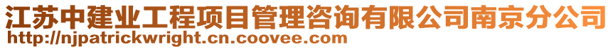 江蘇中建業(yè)工程項目管理咨詢有限公司南京分公司