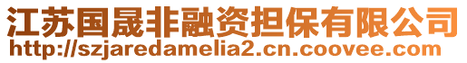 江蘇國晟非融資擔保有限公司