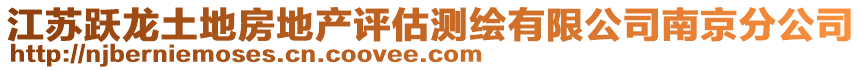江蘇躍龍土地房地產(chǎn)評估測繪有限公司南京分公司