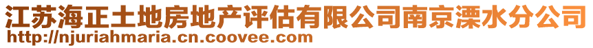 江蘇海正土地房地產(chǎn)評(píng)估有限公司南京溧水分公司