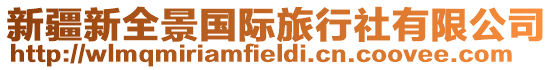 新疆新全景國際旅行社有限公司