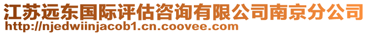 江蘇遠東國際評估咨詢有限公司南京分公司