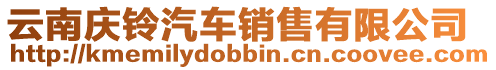 云南慶鈴汽車銷售有限公司
