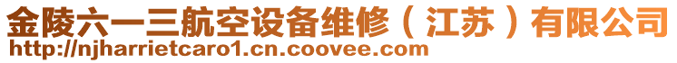 金陵六一三航空設備維修(江蘇)有限公司
