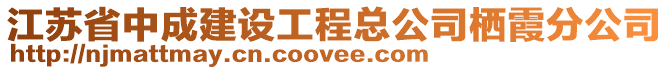 江蘇省中成建設(shè)工程總公司棲霞分公司