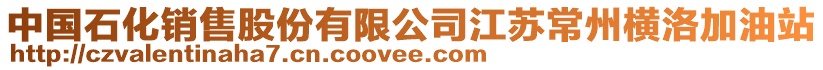 中國石化銷售股份有限公司江蘇常州橫洛加油站