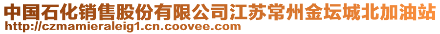 中國石化銷售股份有限公司江蘇常州金壇城北加油站