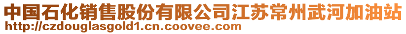 中國(guó)石化銷售股份有限公司江蘇常州武河加油站