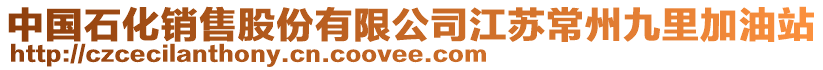 中國石化銷售股份有限公司江蘇常州九里加油站