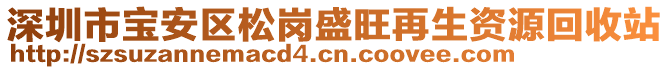 深圳市寶安區松崗盛旺再生資源回收站