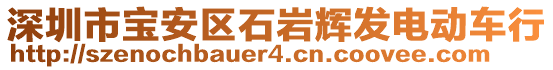 深圳市寶安區(qū)石巖輝發(fā)電動(dòng)車行