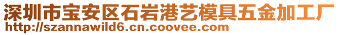 深圳市寶安區(qū)石巖港藝模具五金加工廠