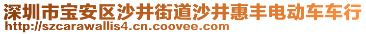 深圳市寶安區(qū)沙井街道沙井惠豐電動車車行