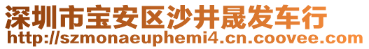 深圳市寶安區(qū)沙井晟發(fā)車行