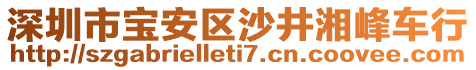 深圳市寶安區(qū)沙井湘峰車行