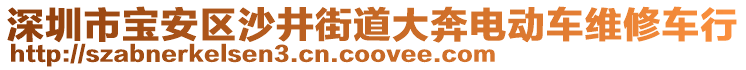 深圳市寶安區(qū)沙井街道大奔電動車維修車行