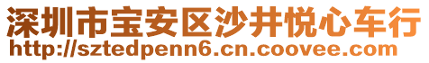 深圳市寶安區(qū)沙井悅心車行