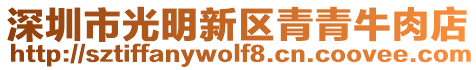 深圳市光明新區(qū)青青牛肉店