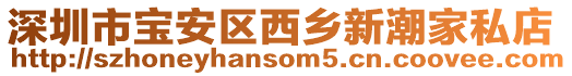 深圳市寶安區西鄉新潮家私店