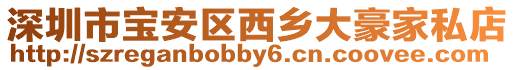 深圳市寶安區(qū)西鄉(xiāng)大豪家私店