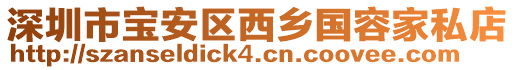深圳市寶安區西鄉國容家私店