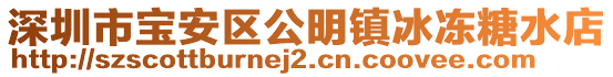 深圳市寶安區(qū)公明鎮(zhèn)冰凍糖水店