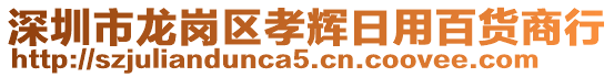 深圳市龍崗區孝輝日用百貨商行