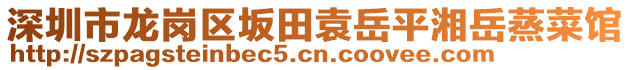 深圳市龍崗區坂田袁岳平湘岳蒸菜館