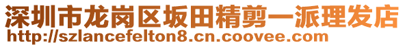 深圳市龍崗區(qū)坂田精剪一派理發(fā)店