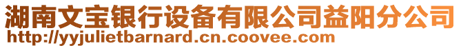 湖南文寶銀行設備有限公司益陽分公司