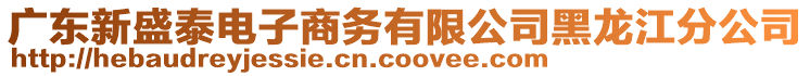 廣東新盛泰電子商務(wù)有限公司黑龍江分公司