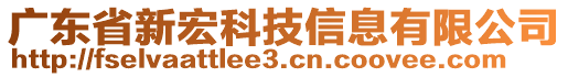 廣東省新宏科技信息有限公司