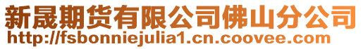 新晟期貨有限公司佛山分公司