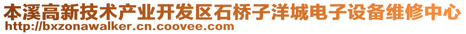 本溪高新技術產(chǎn)業(yè)開發(fā)區(qū)石橋子洋城電子設備維修中心