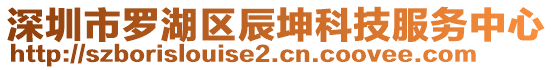 深圳市羅湖區(qū)辰坤科技服務(wù)中心