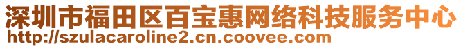 深圳市福田區(qū)百寶惠網(wǎng)絡(luò)科技服務(wù)中心