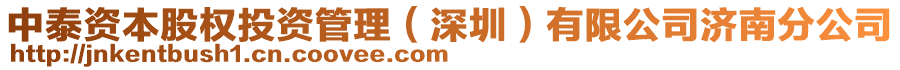 中泰資本股權(quán)投資管理（深圳）有限公司濟(jì)南分公司