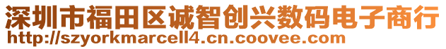 深圳市福田區(qū)誠智創(chuàng)興數(shù)碼電子商行