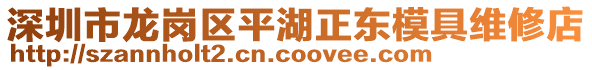 深圳市龍崗區(qū)平湖正東模具維修店
