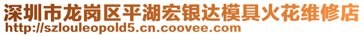 深圳市龍崗區(qū)平湖宏銀達模具火花維修店