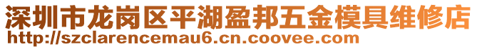 深圳市龍崗區(qū)平湖盈邦五金模具維修店