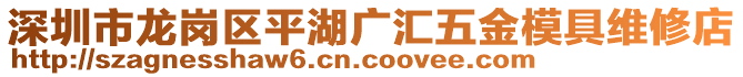 深圳市龍崗區(qū)平湖廣匯五金模具維修店