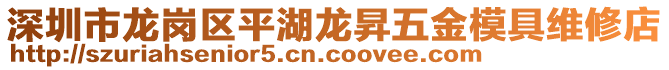 深圳市龍崗區(qū)平湖龍昇五金模具維修店