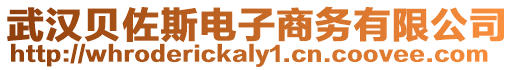 武漢貝佐斯電子商務(wù)有限公司
