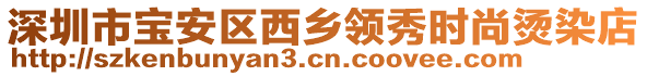 深圳市寶安區西鄉領秀時尚燙染店