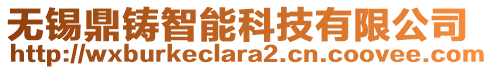 無錫鼎鑄智能科技有限公司